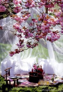 picnic-romantico-de-primavera